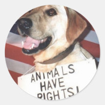 Animals Have Rights Round Sticker