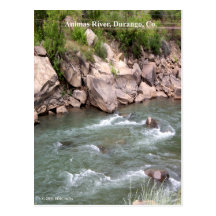 Animas River Rapids Postcards