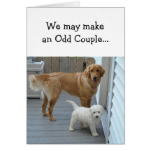Anniversary Partner Sweetheart with Cute Dog Humou Greeting Card