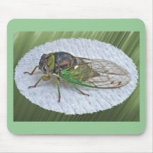 Annual Cicada Coordinating Items Mousepad