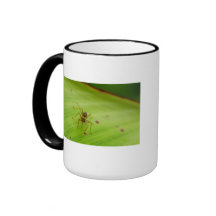 ant mugs