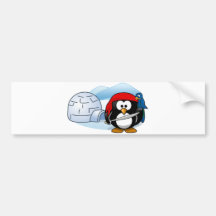 Antarctic Pitate Penguin Bumper Sticker