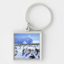 Antarctica, Antarctic Peninsula, Weddell Sea, 5 Keychains