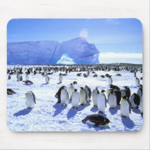 Antarctica, Antarctic Peninsula, Weddell Sea, 5 Mouse Pads