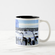 Antarctica, Antarctic Peninsula, Weddell Sea, 5 Mugs