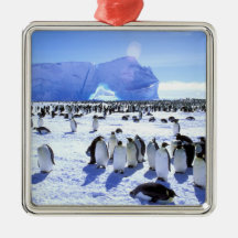 Antarctica, Antarctic Peninsula, Weddell Sea, 5 Christmas Ornament