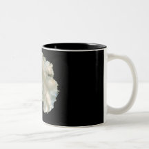 Antarctica Mug