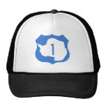 Antarctica Route 1 Highway Sign Hats