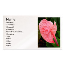 Anthurium Business Cards