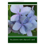 Anti E-Card
