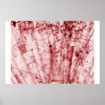 Anti Matter Posters