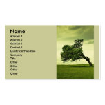 Anticipation Business Cards