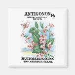 Antigonon Mexican Coral, Huth Seed Co Fridge Magnets