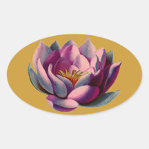 Antique Botanicals Pink Water Lily Lotus Oval Sticker
