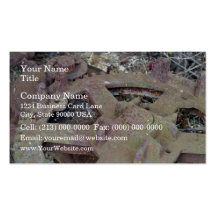 Antique Farm Equipment Business Card