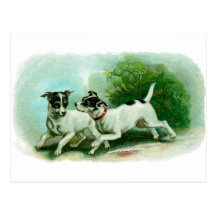 Antique Fox Terrier Illustration Postcards