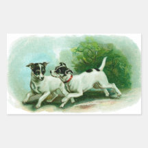 Antique Fox Terrier Illustration Rectangular Sticker