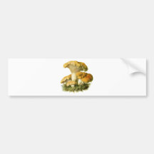 Antique Mushroom Print 13 Bumper Sticker