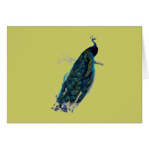 Antique Natural History Print Peacock Greeting Card