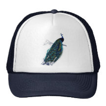 Antique Natural History Print Peacock Mesh Hat