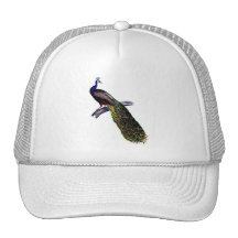 Antique Peacock Print Hat