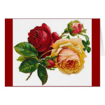 Antique Roses - Get Well Greeting Card