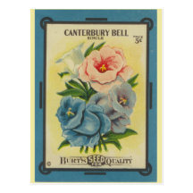 Antique Seed Packet: Canterbury Bells Post Card