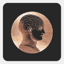 Antique Style Golden Mind Phrenology head Square Sticker