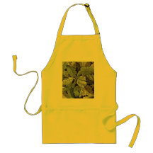 Antique wallpaper leaves apron