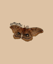 Antisocial Moth T-shirts