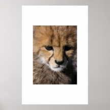 Anubis Print