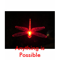 Anything is Possible T Shirt