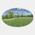 Appalachian Green Stickers