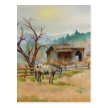 APPALOOSA by SHARON SHARPE Postcard