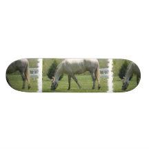 Appaloosa Grazing Custom Skateboard