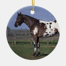 Appaloosa Horse Standing Ornament