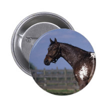 Appaloosa Horse Standing Pins