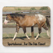 Appaloosa sportaloosa fun times mousepads