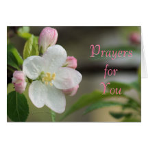 Apple Blossom Prayer card- or any occasion