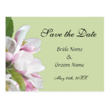apple blossom save the date postcard