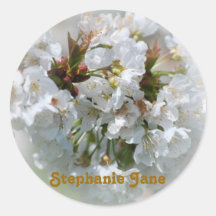 Apple Blossom Stickers