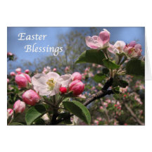 Apple Blossoms at Easter Cards