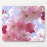 apple blossoms mouse pads