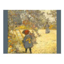 'Apple Harvest' Postcards
