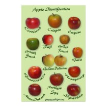 Apple Identification posters