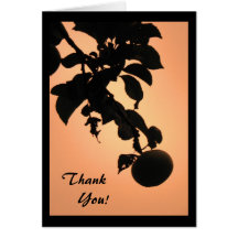 Apple Sunset Thank You Cards