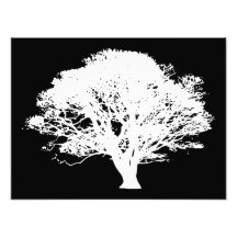 Apple Tree Silhouette Photograph