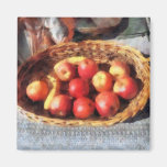 Apples and Bananas in Basket Magnet