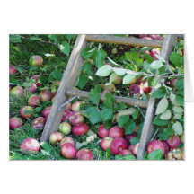 Apples on an Autumn Day Cards