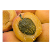 Apricot  Picture posters